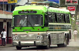 Green Tortoise Adventure Tour